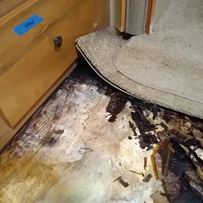 Best Wood Floor Water Damage Service in Issaquah, WA